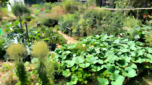 photo Causerie jardin : venez parler jardinage !