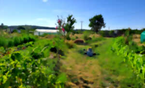 photo Démonstration de jardinage au naturel