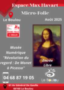 photo MUSÉE NUMÉRIQUE 