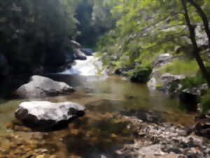 photo RANDONNEE LES PORTES DU CANIGOU AVEC PASSCANIGO