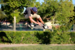 photo Stage de skate