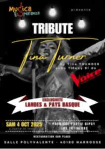 photo Concert Tribute Tina Turner