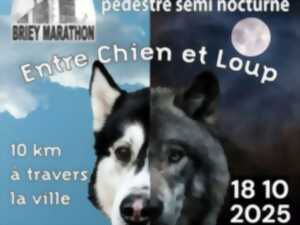 photo Course pédestre Entre chien et loup