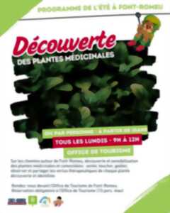 photo SORTIE POUR ADULTES À LA DÉCOUVERTE DES PLANTES MÉDICINALES