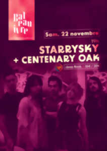 photo Starrysky + Centenary Oak