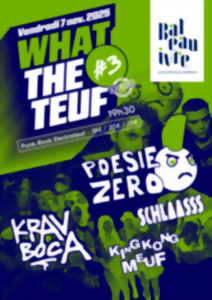 photo Poésie Zéro + Krav Boca + Schlaasss + King Kong Meuf