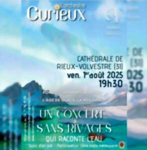 photo CONCERT CATHÉDRALE DE RIEUX- ENSEMBLE CURIEUX