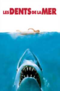 photo Ciné Culte Soirée Requins