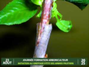 photo Formation arboriculteur : Initiation au greffage d’été des arbres fruitiers