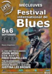photo Musique - festival international de Blues
