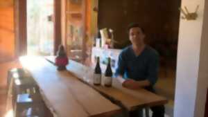 photo CAFE VIGNERON - MON JARDIN DE VIGNES _LA CAVE