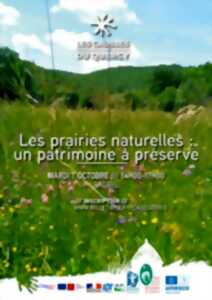 photo Les prairies naturelles : un patrimoine à préserver