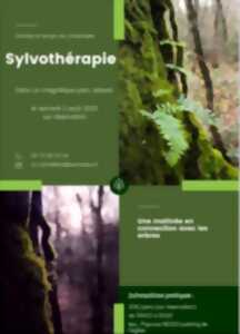 photo Sylvothérapie
