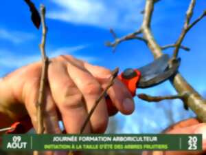 photo Formation arboriculteur – Initiation à la taille d’été des arbres fruitiers