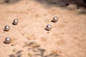 photo Concours de Pétanque