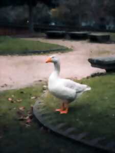 photo Journée du Patrimoine et du foie gras