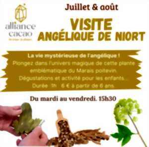 photo Visite 