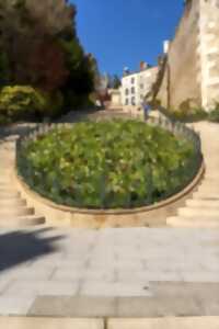 photo Blois - Ville d'Art et d'Histoire - Visite guidée à la découverte de Blois