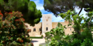 photo PALAIS DES ROIS DE MAJORQUE - JOURNÉES EUROPÉENNES DU PATRIMOINE