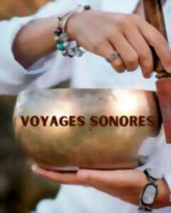 photo L'été au Domaine de Roiffé : Voyage sonore