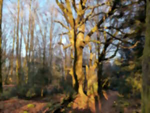 photo Randonnée découverte des Réserves