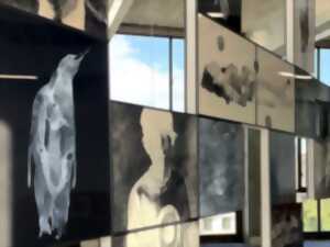 photo Vernissage SOMNIUM - Luc Doerflinger