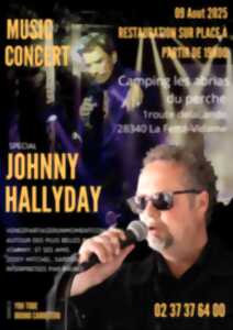 photo Music concert - spécial Johnny Hallyday