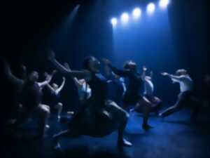 photo HOFESH SHECHTER COMPANY