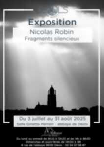 photo Exposition de photographies de Nicolas Robin