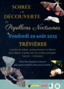photo Découverte des papillons nocturnes