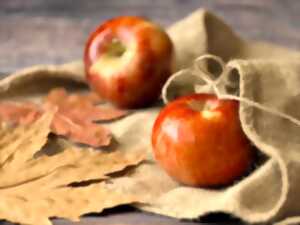 photo Fête de La Pomme