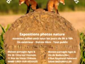 photo Exposition photos - Des petits coins de nature pour tous