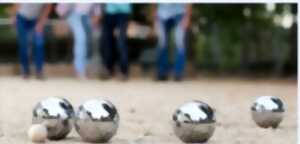 photo Concours de pétanque