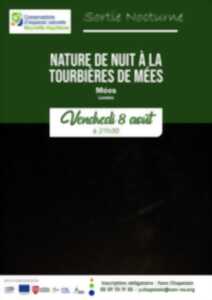 photo Nocturne aux tourbières
