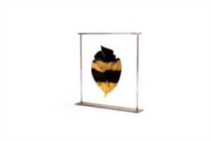 photo Exposition Carte Blanche : 