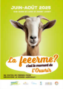 photo Visite de Ferme : Louis Légumes 28