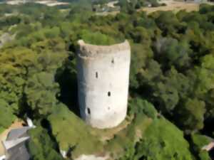 photo Visite famille - Vivre et se défendre dans un château fort au Âge à Château-Renault