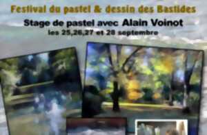 photo Stage de pastel Animé par Alain Voinot