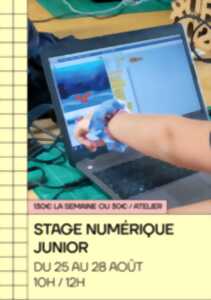 photo Stage numérique junior