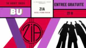 photo Concert au Trait d'Union avec Zia
