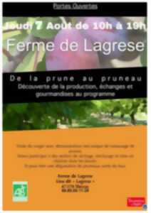 photo De la prune au pruneau