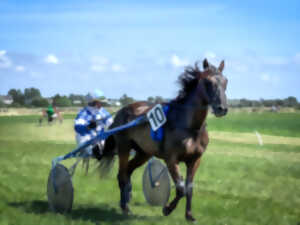 photo Courses hippiques à l'Hippodrome de Berck-sur-Mer