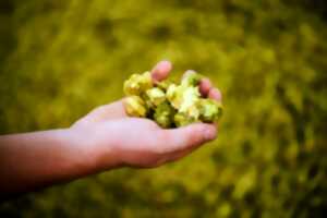 photo Atelier : Bière au château
