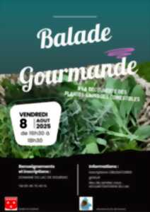 photo Balade gourmande plantes comestibles