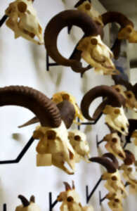photo VISITE GUIDEE LE MUSEUM D'HISTOIRE NATURELLE