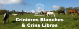 photo Association crinières blanches et crins libres en fête
