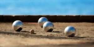 photo Concours de pétanque