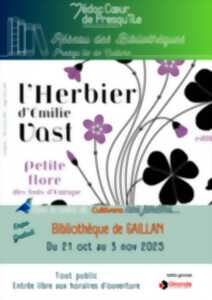 photo Expo les herbiers d'Emilie VAST la petite flore des bois