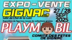 photo SALON PLAYMOBIL