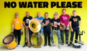 photo NO WATER PLEASE en concert Comme à la Gare!